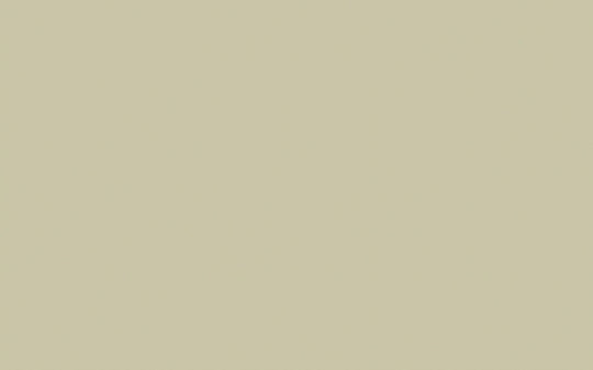Limewash | Portland Stone no. 77