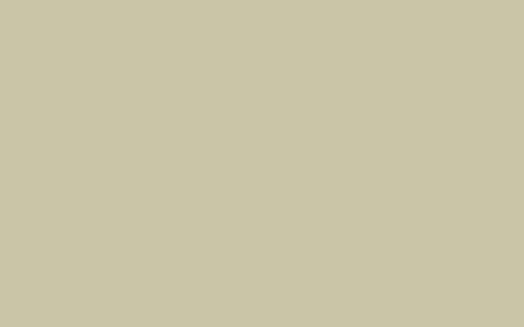 Interior Oil Eggshell | Portland Stone no. 77