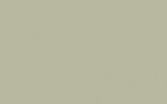 Interior Oil Eggshell | Tracery II no. 78