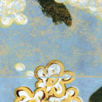 ÉLITIS Les Cerisiers Sauvages TP-289-01_SOLEIL LEVANT behang papier