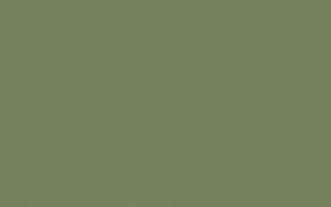 Sample potje | Sage Green no. 80 | Little Greene