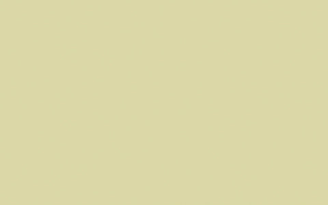 Distemper | Olive Oil No. 83