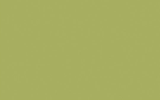 Interior Oil Eggshell | Boxington no. 84