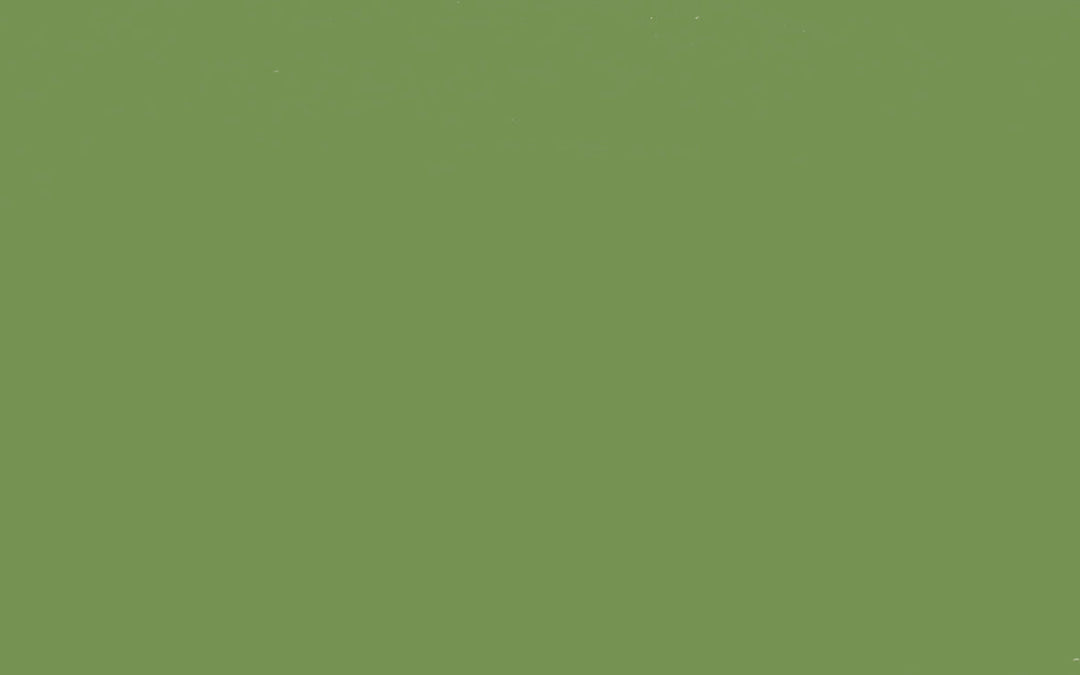 Intelligent Masonry Paint | Garden no. 86