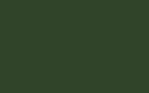 Absolute Matt Emulsion | Dark Brunswick Green no. 88