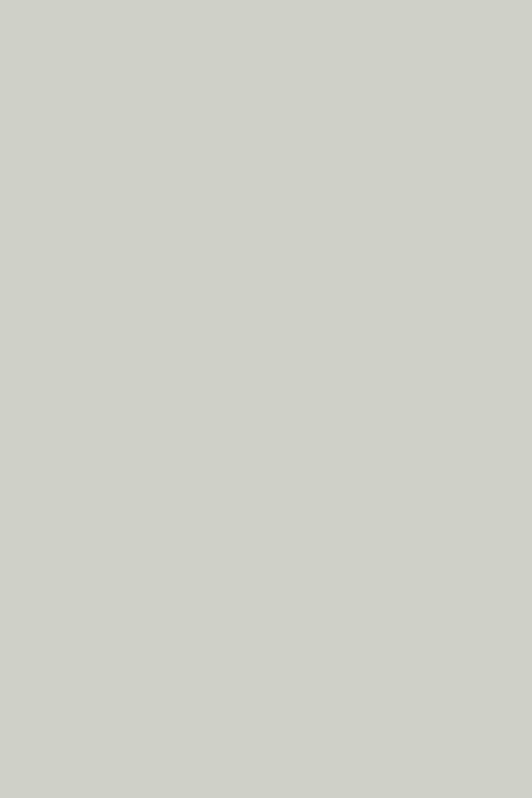 Modern Eggshell | Blanc De Chine no. 9814