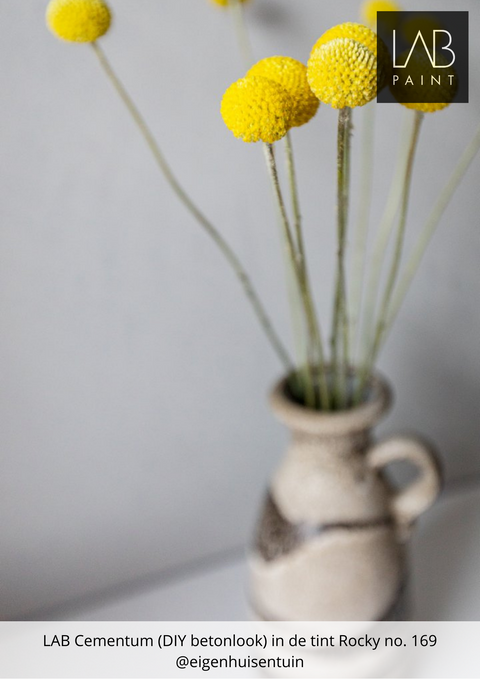 LAB Kleurstaal | ROCKY NO. 169