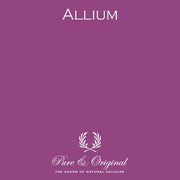 Traditional Paint High-Gloss Elements | Allium