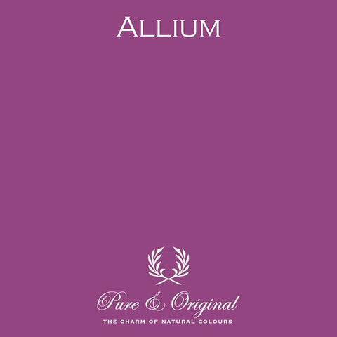 Traditional Paint High-Gloss Elements | Allium