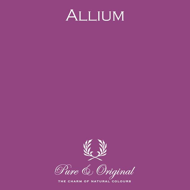 Traditional Paint High-Gloss Elements | Allium