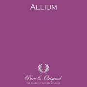 Colour Sample | Allium