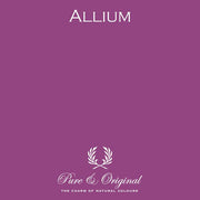 Classico | Allium