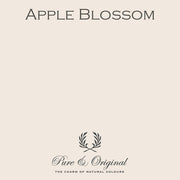 Traditional Paint High-Gloss | Apple Blossom
