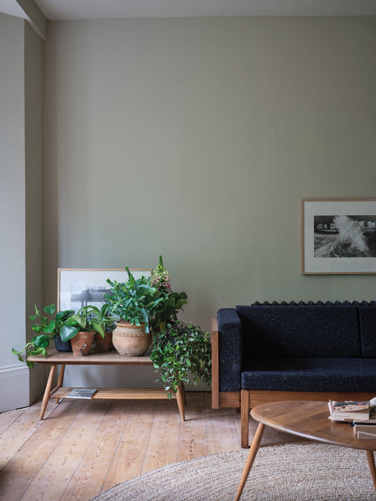 Moderne Emulsion | Aschgrau Nr. W9
