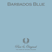 Traditional Paint Eggshell | Barbados Blue