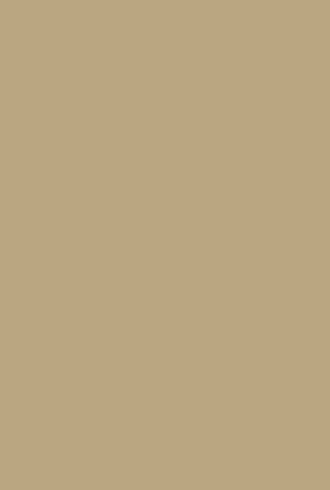 Modern Emulsion | Biscuit no. 38