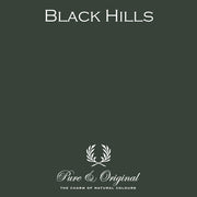 Traditional Paint High-Gloss | Black Hills