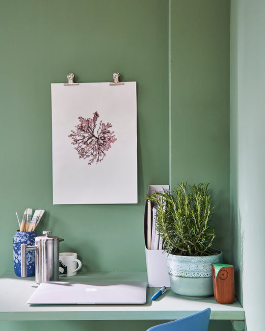 Tote Wohnung | Frühstücksraum Grün Nr. 81