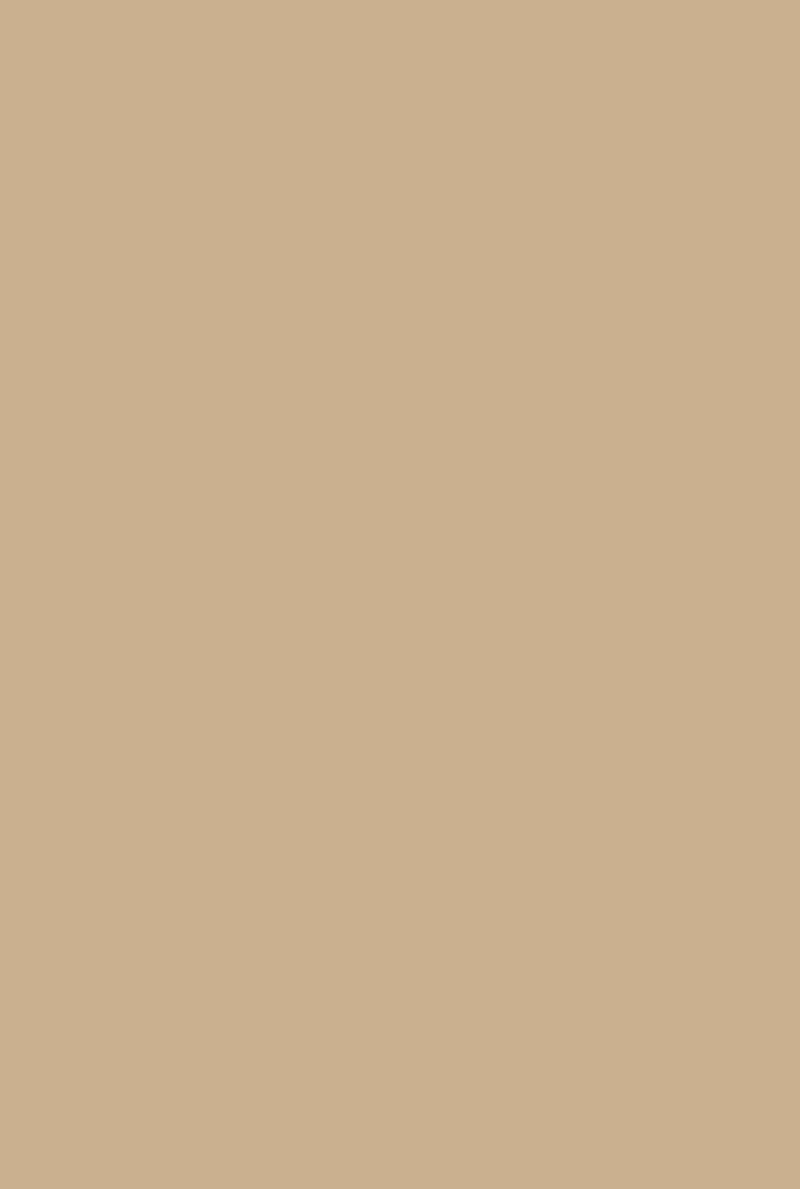Modern Eggshell | Buff no. 20