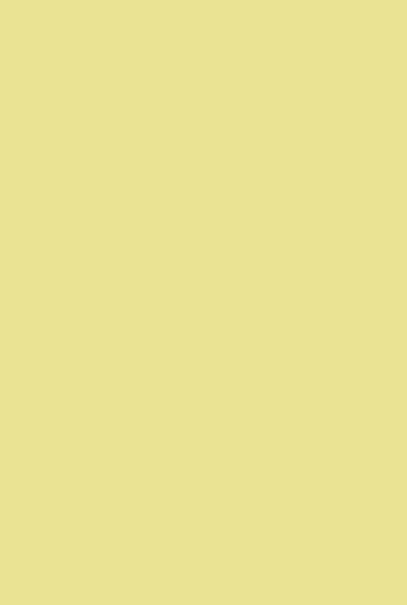 Exterior Masonry Paint | Butterweed no. 9802