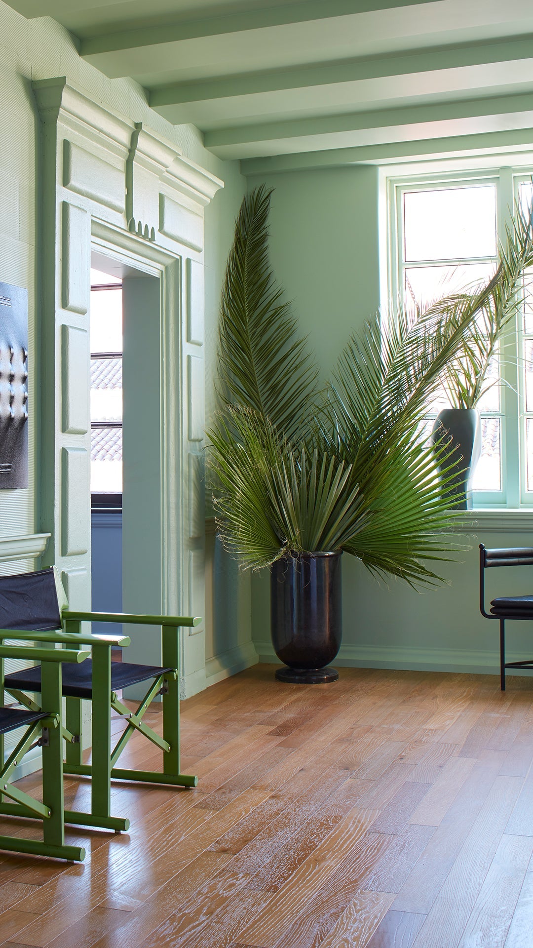 Nachlassemulsion | Palme Nr. CC4