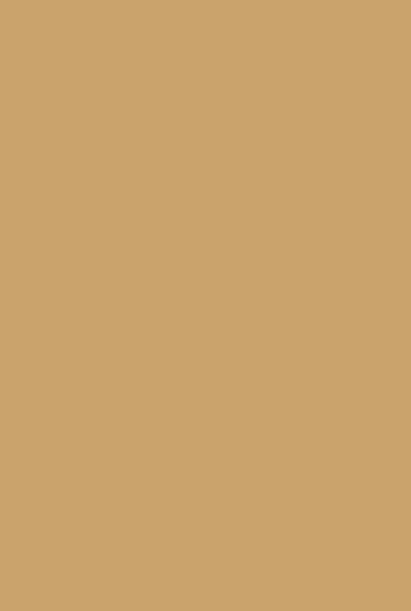 Exterior Masonry Paint | Cane No. 53