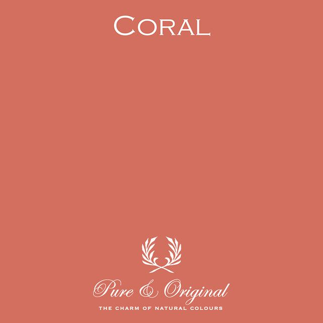 Licetto | Coral