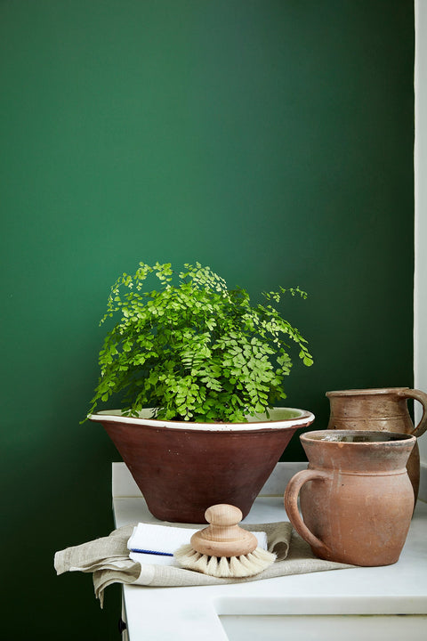 Intelligent Eggshell | Dark Brunswick Green no. 88