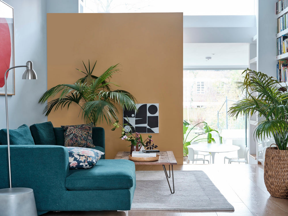 Exterior Masonry Paint | Cane no. 53