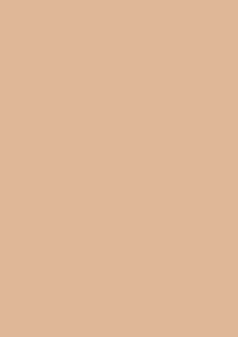 Estate Emulsion | Faded Terracotta No.CC8