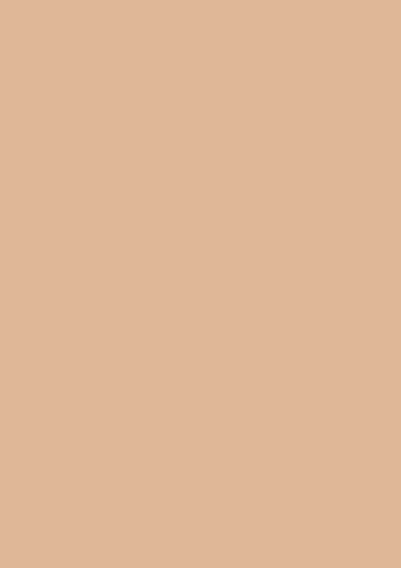 Modern Emulsion | Faded Terracotta No.CC8