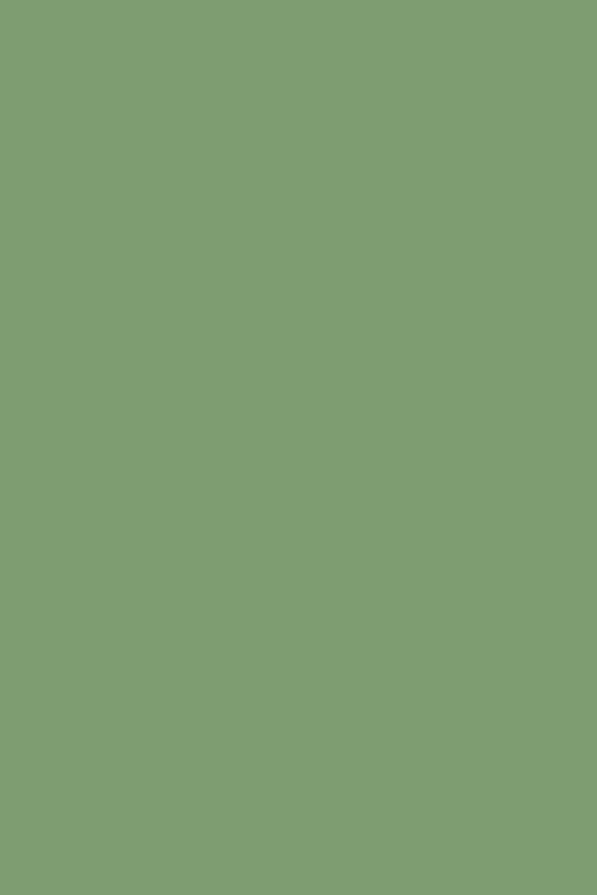 Full Gloss | Folly Green no. 76