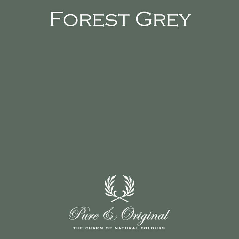 NEW: Traditional Paint Eggshell | Forest Grey