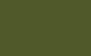 Intelligent Gloss | Jewel Beetle no. 303