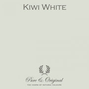 Traditional Paint Eggshell | Kiwi White