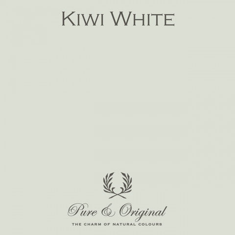 Traditional Paint Eggshell | Kiwi White