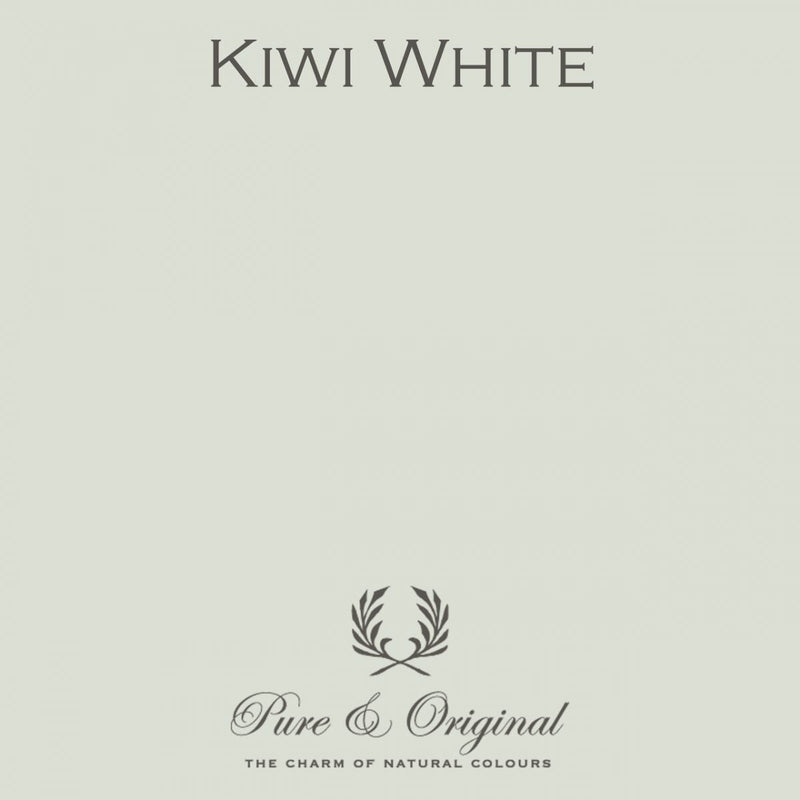 Traditional Paint Eggshell | Kiwi White