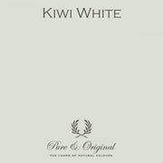 Traditional Paint High-Gloss | Kiwi White