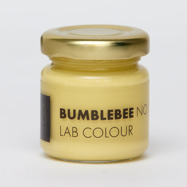Sample Potje LAB PAINT Sample potje | BUMBLEBEE NO. 872