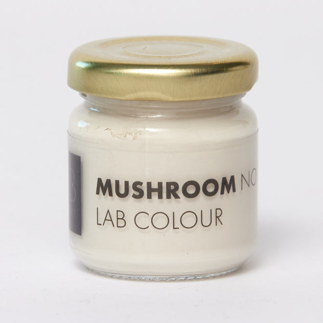 LAB PAINT Sample potje MUSHROOM NO. 287