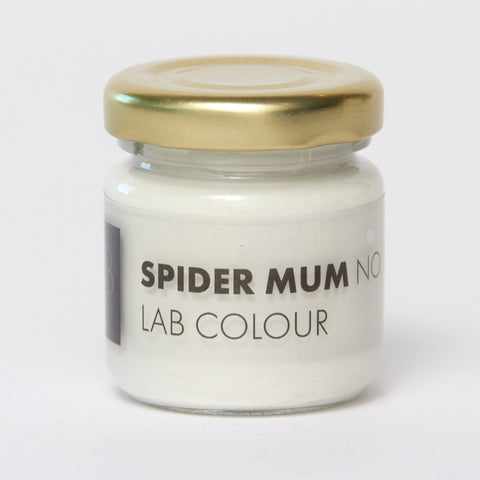 LAB Sample potje | SPIDER MUM NO. 310