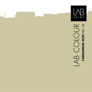 LAB Trapcoating | Cardamom Skin no. 36 | LAB Archive Colours