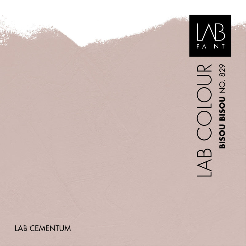 LAB Cementum Walls | BISOU BISOU NO. 829