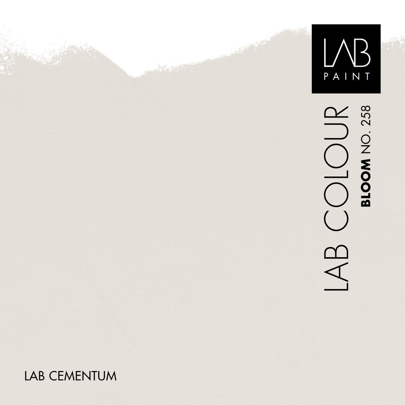 LAB Cementum Walls | BLOOM NO. 258