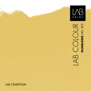 LAB Cementum Floor | BUMBLEBEE NO. 872