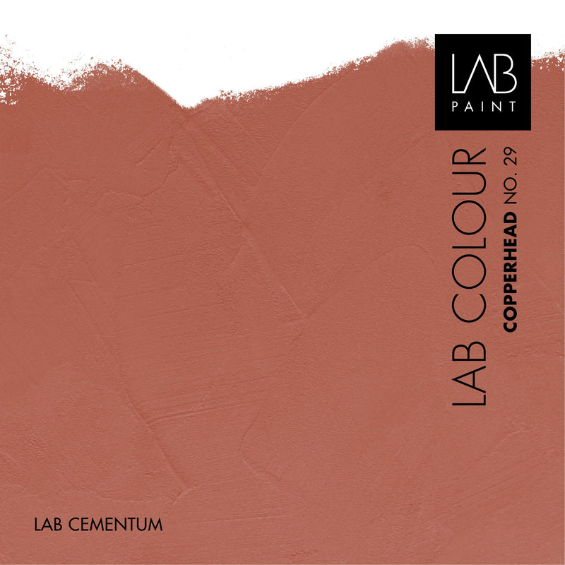 LAB Cementum Walls | COPPERHEAD NO. 29
