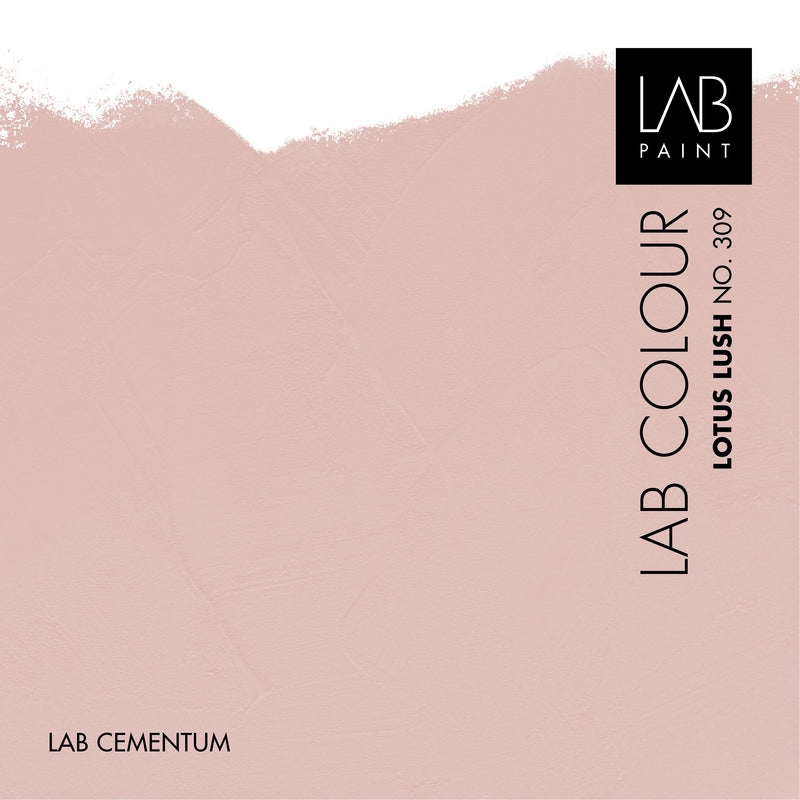 LAB Cementum Walls | LOTUS LUSH NO. 309