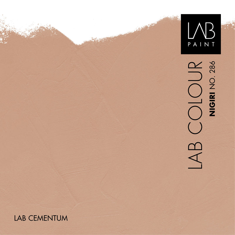 LAB Cementum Walls | NIGIRI NO. 286 | LAB COLOUR 2025