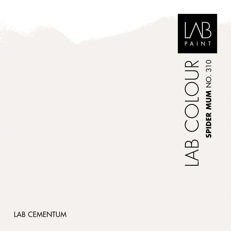 LAB Cementum Floor | Spider Mum no. 310