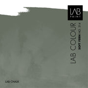 LAB Chalk | SOFT FERN NO. 314